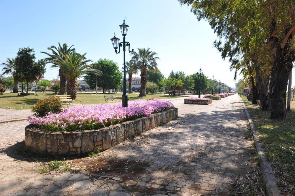 Apartments Dimitra Παραλία Διονυσίου Εξωτερικό φωτογραφία