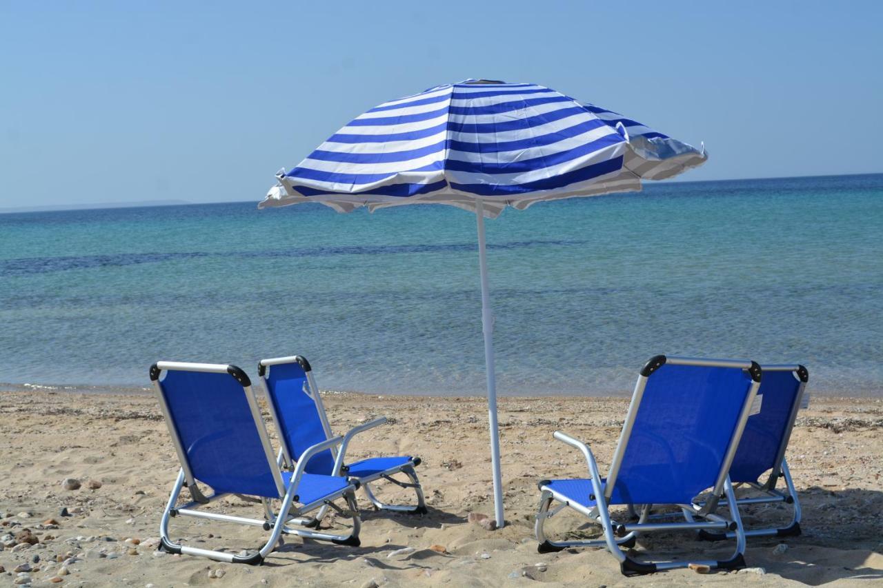 Apartments Dimitra Παραλία Διονυσίου Εξωτερικό φωτογραφία