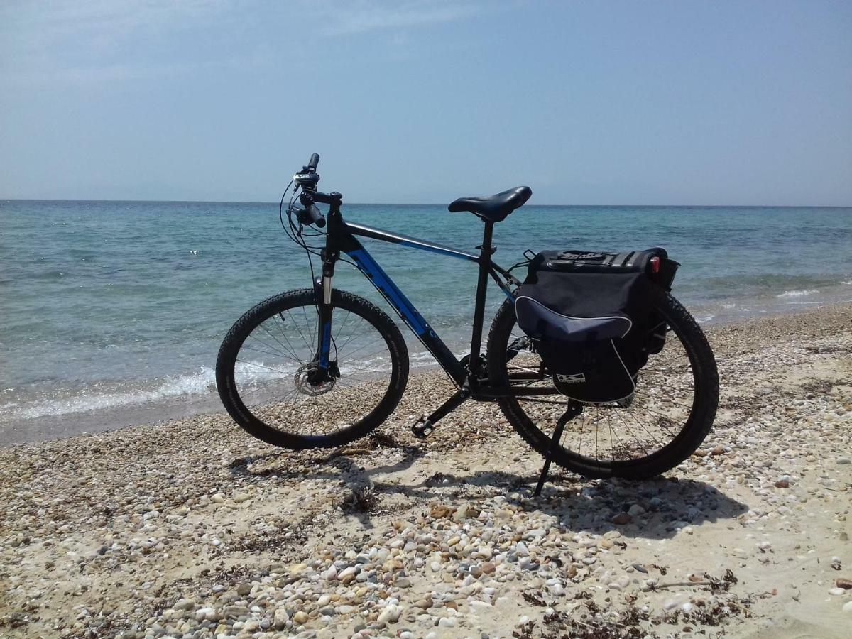 Apartments Dimitra Παραλία Διονυσίου Εξωτερικό φωτογραφία